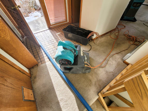 Best Professional water damage repair  in Konterra, MD