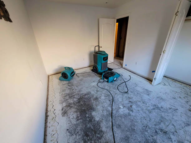Best Ceiling water damage repair  in Konterra, MD